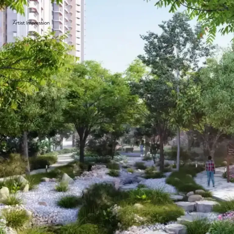 Garden